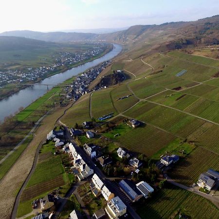 Moselie Ferienwohnung Kinheim Mosel Buitenkant foto
