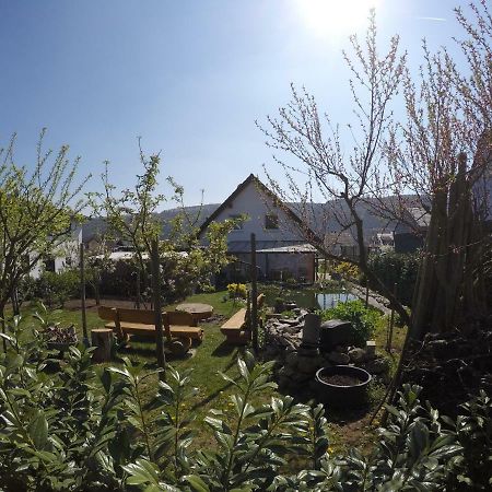 Moselie Ferienwohnung Kinheim Mosel Buitenkant foto