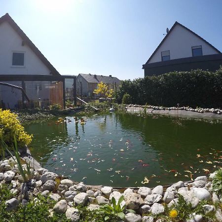 Moselie Ferienwohnung Kinheim Mosel Buitenkant foto