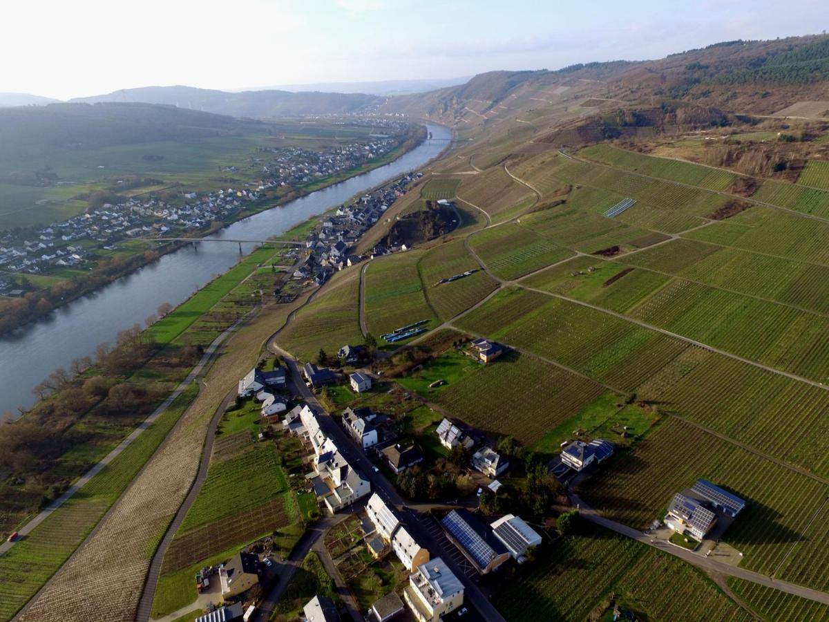 Moselie Ferienwohnung Kinheim Mosel Buitenkant foto